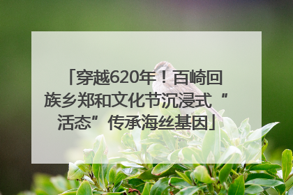 穿越620年！百崎回族乡郑和文化节沉浸式“活态”传承海丝基因